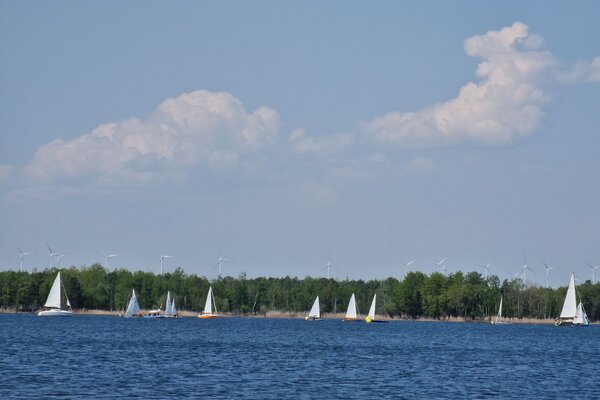 Frühjahrsregatta 2023