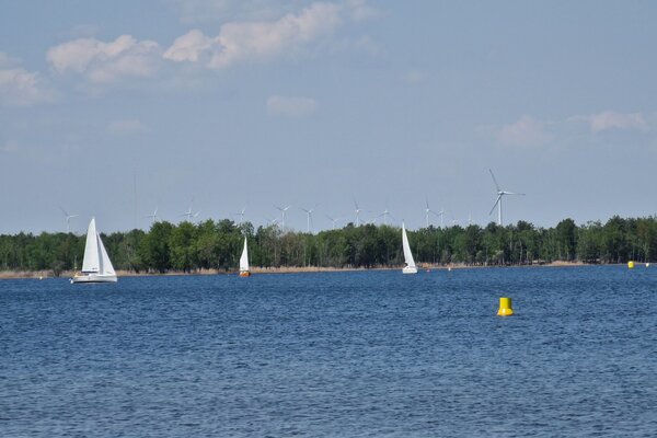 Frühjahrsregatta 2023