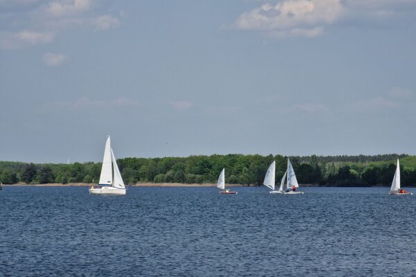 Frühjahrsregatta 2023