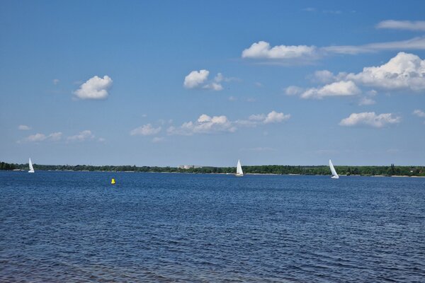 Frühjahrsregatta 2023