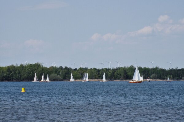 Frühjahrsregatta 2023