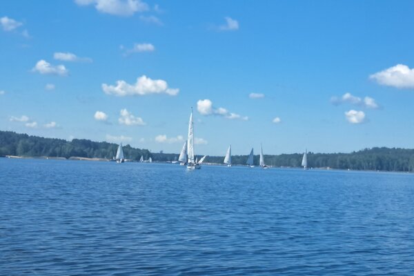 Frühjahrsregatta 2026