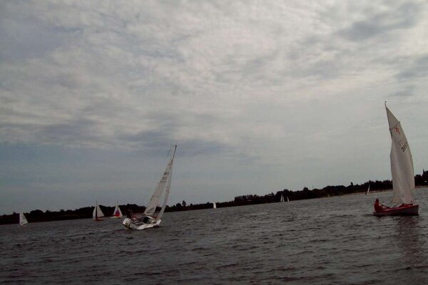 Herbstregatta 2011