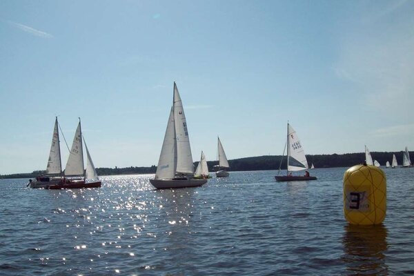 Herbstregatta 2011