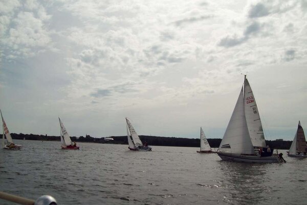 Herbstregatta 2011