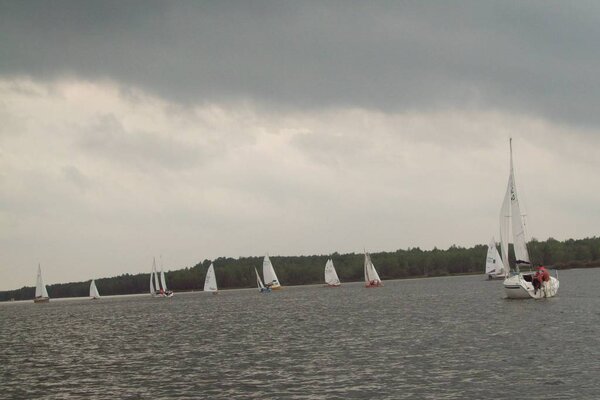 Herbstregatta 2012