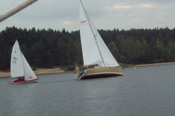 Herbstregatta 2012