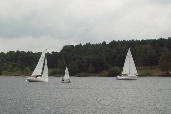Herbstregatta 2012
