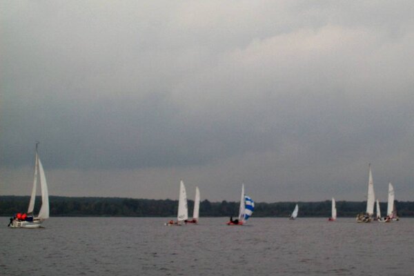 Herbstregatta 2012