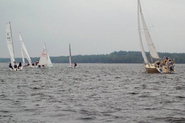 Herbstregatta 2012