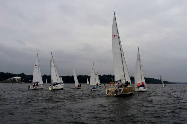 Herbstregatta 2012