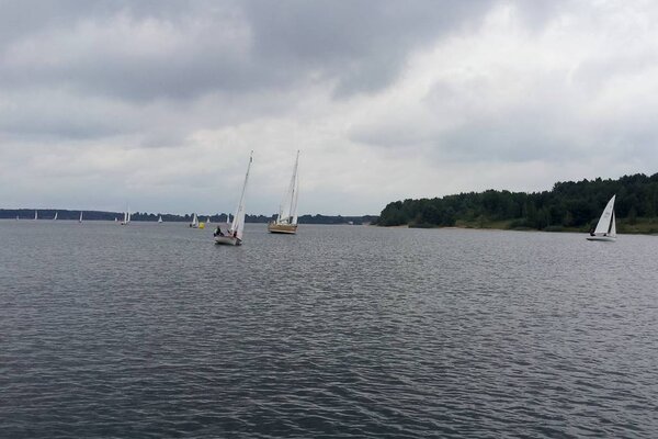 Herbstregatta 2012