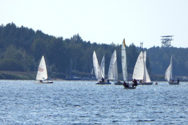 Herbstregatta 2018