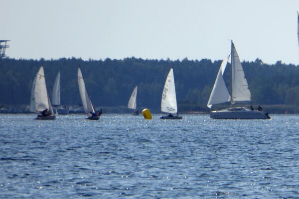 Herbstregatta 2018