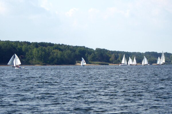 Herbstregatta 2018