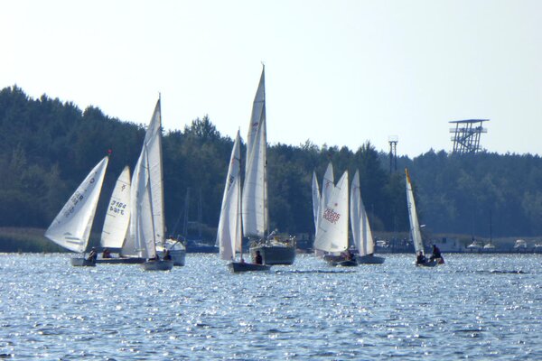 Herbstregatta 2018