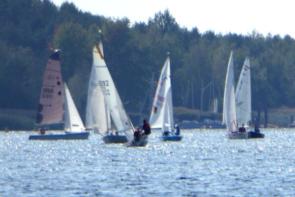 Herbstregatta 2018