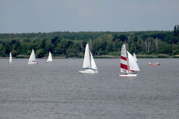 Jubiläumsregatta 2021