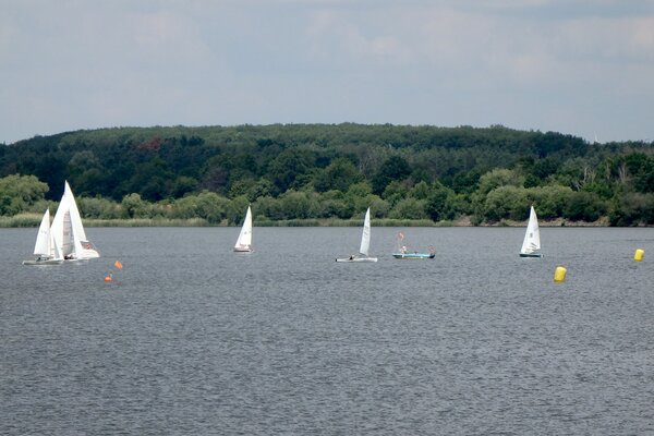Jubiläumsregatta 2021
