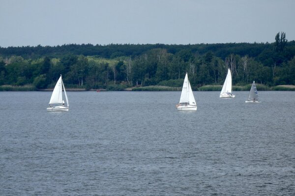 Jubiläumsregatta 2021