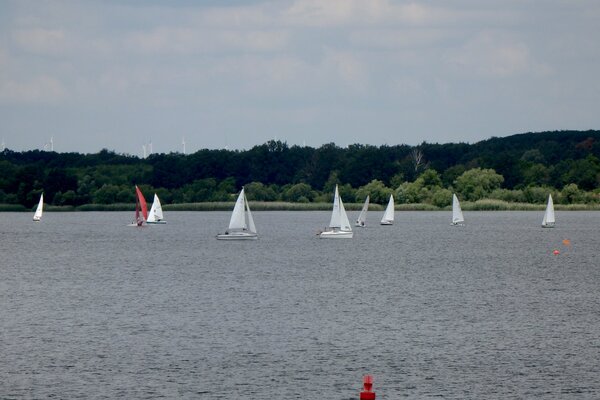 Jubiläumsregatta 2021