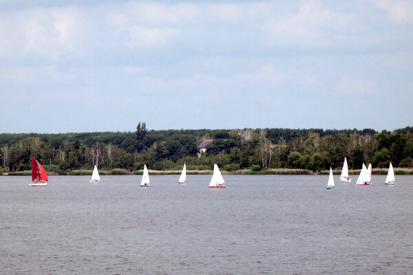 Jubiläumsregatta 2021