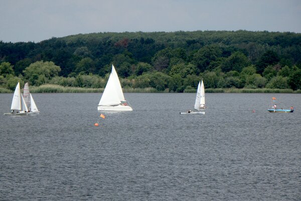 Jubiläumsregatta 2021