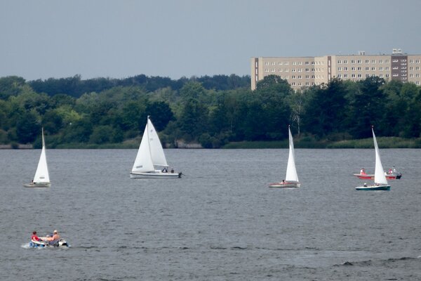 Jubiläumsregatta 2021