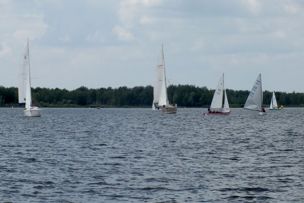 Jubiläumsregatta 2021
