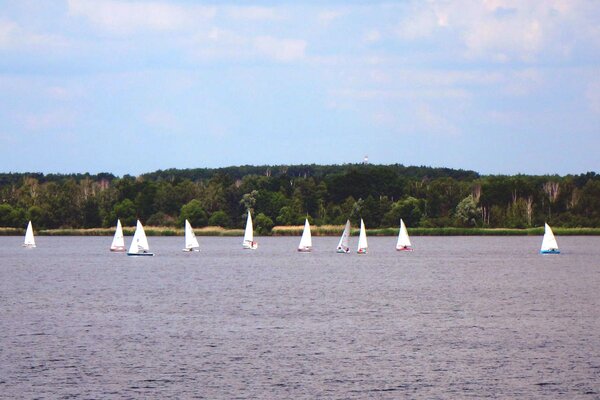 Jubiläumsregatta 2021