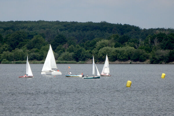 Jubiläumsregatta 2021