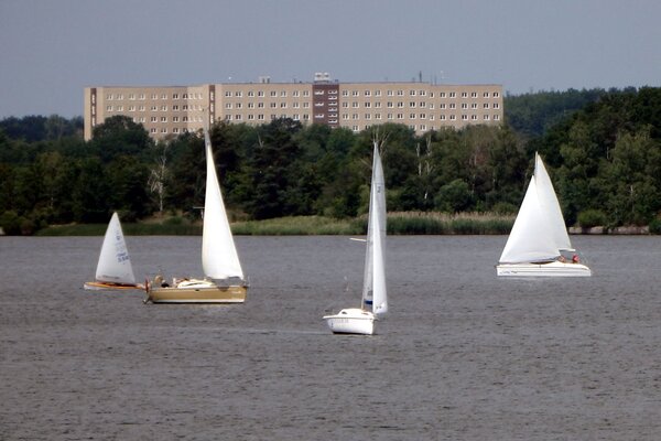 Jubiläumsregatta 2021