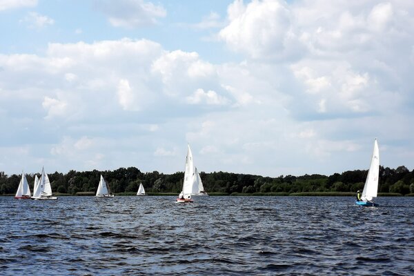 Jubiläumsregatta 2021