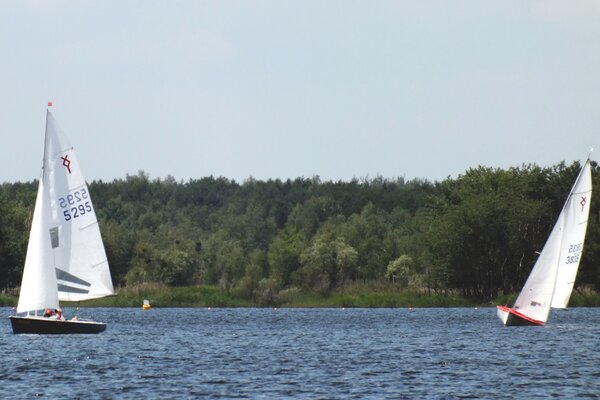 Jubiläumsregatta 2021