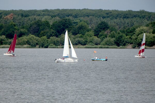 Jubiläumsregatta 2021
