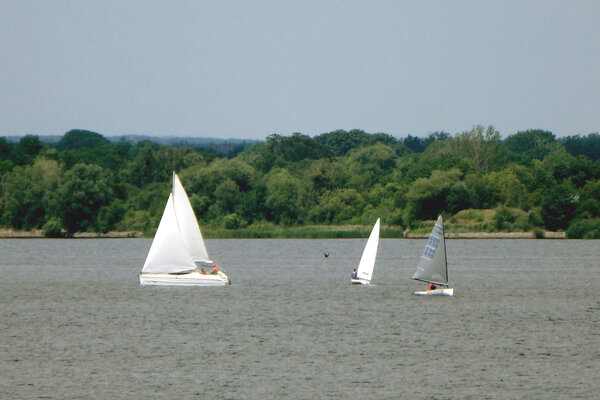 Jubiläumsregatta 2021