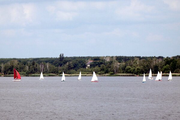 Jubiläumsregatta 2021
