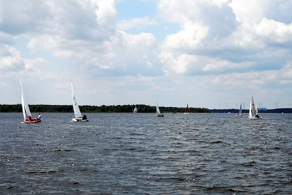 Jubiläumsregatta 2021