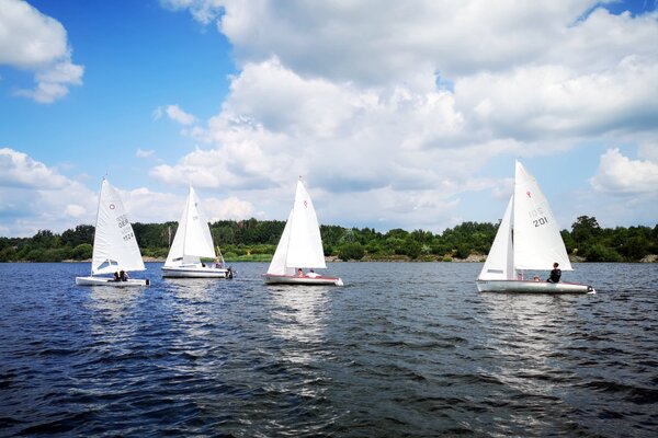 Jubiläumsregatta 2021