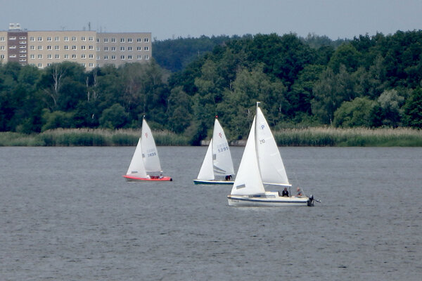 Jubiläumsregatta 2021