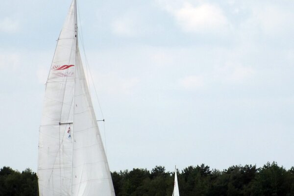 Jubiläumsregatta 2021