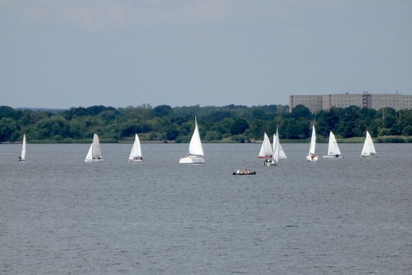 Jubiläumsregatta 2021