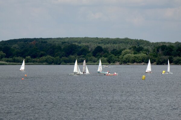 Jubiläumsregatta 2021
