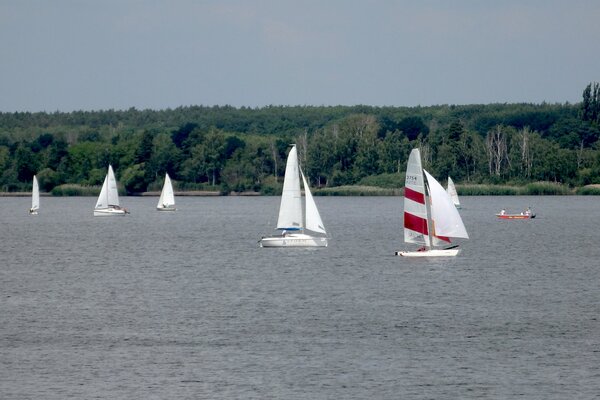 Jubiläumsregatta 2021