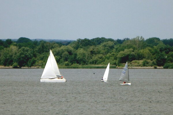Jubiläumsregatta 2021