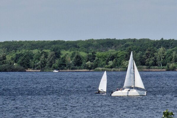 Jubiläumsregatta 2023