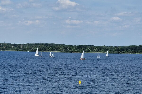 Jubiläumsregatta 2023