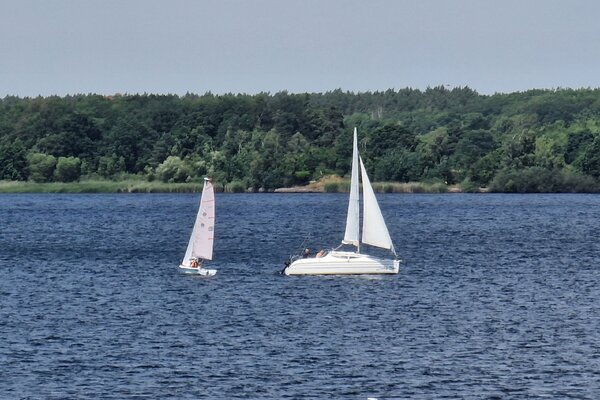 Jubiläumsregatta 2023