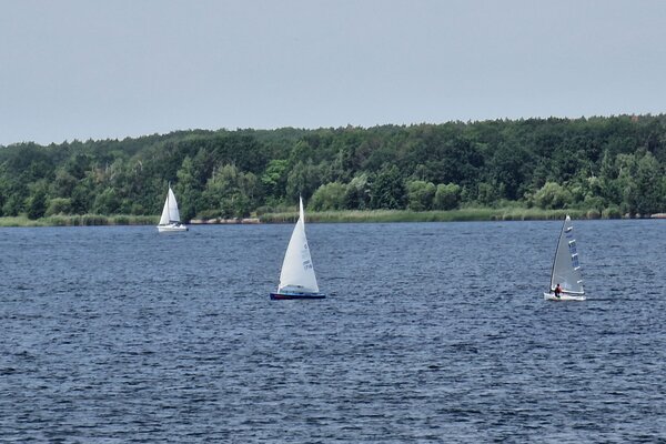 Jubiläumsregatta 2023