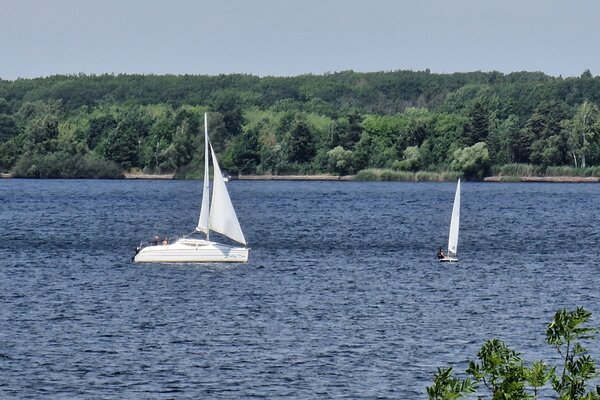Jubiläumsregatta 2023